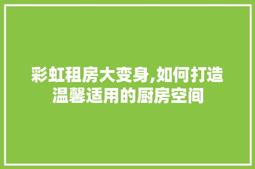 彩虹租房大变身,如何打造温馨适用的厨房空间