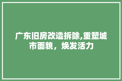 广东旧房改造拆除,重塑城市面貌，焕发活力