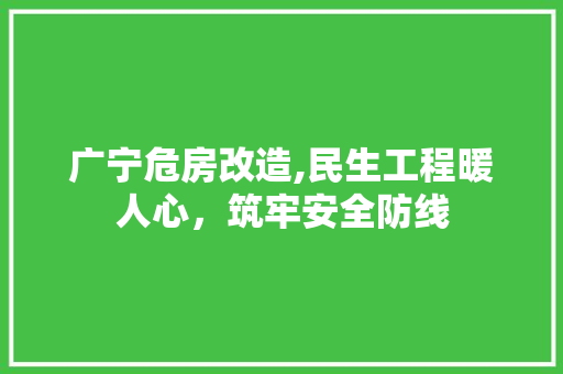 广宁危房改造,民生工程暖人心，筑牢安全防线