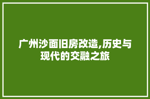 广州沙面旧房改造,历史与现代的交融之旅