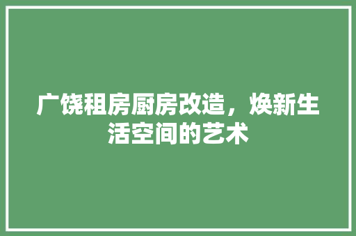 广饶租房厨房改造，焕新生活空间的艺术