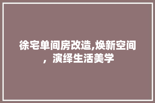 徐宅单间房改造,焕新空间，演绎生活美学