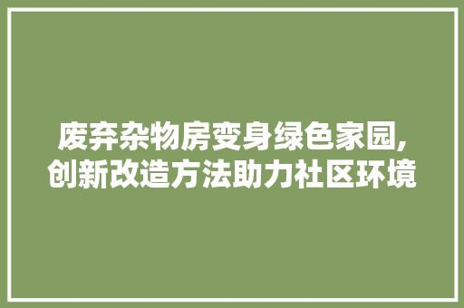 废弃杂物房变身绿色家园,创新改造方法助力社区环境美化