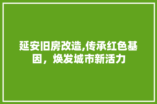 延安旧房改造,传承红色基因，焕发城市新活力