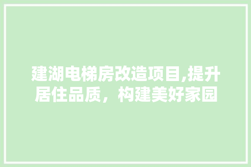 建湖电梯房改造项目,提升居住品质，构建美好家园