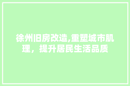 徐州旧房改造,重塑城市肌理，提升居民生活品质