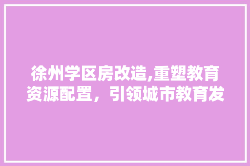 徐州学区房改造,重塑教育资源配置，引领城市教育发展新篇章