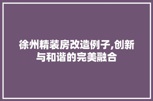 徐州精装房改造例子,创新与和谐的完美融合