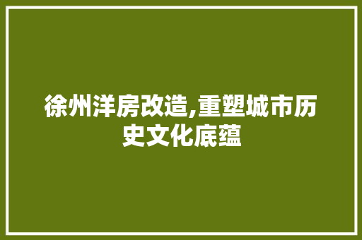徐州洋房改造,重塑城市历史文化底蕴