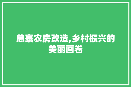 总寨农房改造,乡村振兴的美丽画卷