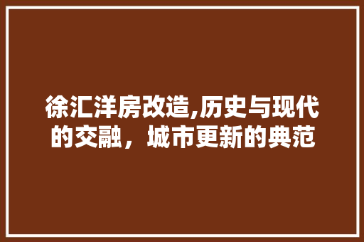 徐汇洋房改造,历史与现代的交融，城市更新的典范