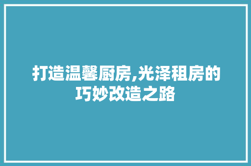 打造温馨厨房,光泽租房的巧妙改造之路