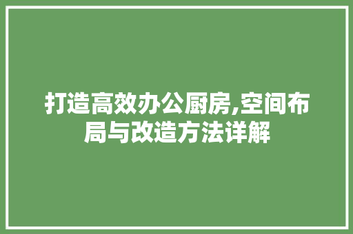 打造高效办公厨房,空间布局与改造方法详解