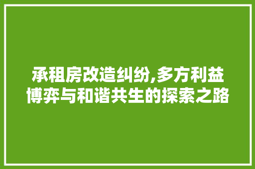 承租房改造纠纷,多方利益博弈与和谐共生的探索之路