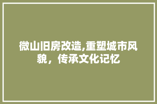 微山旧房改造,重塑城市风貌，传承文化记忆