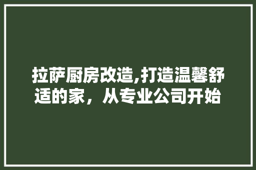 拉萨厨房改造,打造温馨舒适的家，从专业公司开始