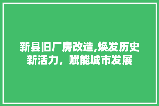 新县旧厂房改造,焕发历史新活力，赋能城市发展