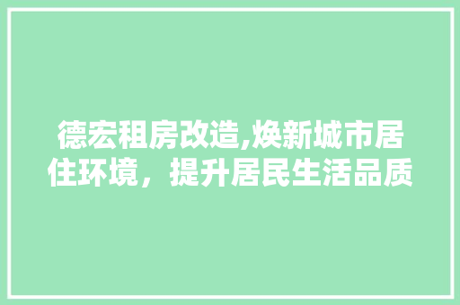 德宏租房改造,焕新城市居住环境，提升居民生活品质