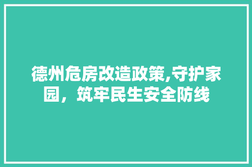德州危房改造政策,守护家园，筑牢民生安全防线