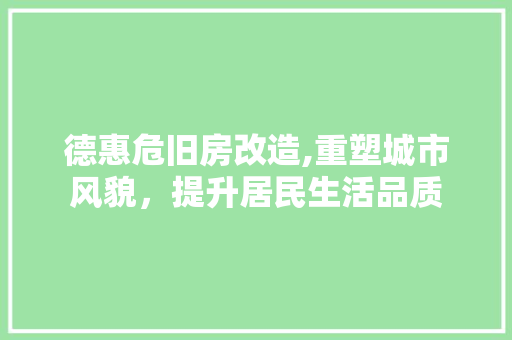 德惠危旧房改造,重塑城市风貌，提升居民生活品质