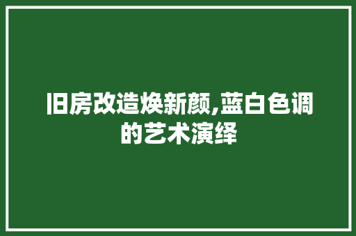 旧房改造焕新颜,蓝白色调的艺术演绎