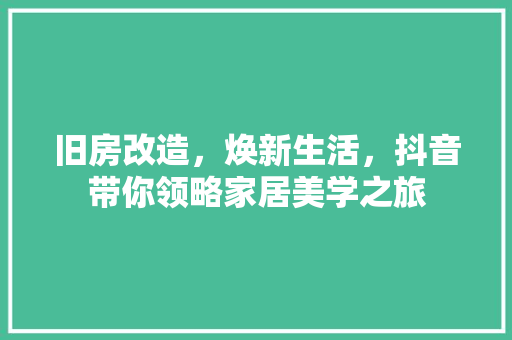 旧房改造，焕新生活，抖音带你领略家居美学之旅