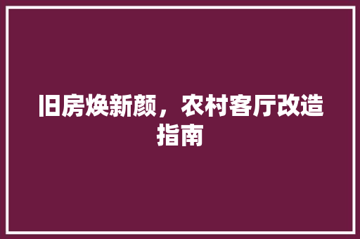 旧房焕新颜，农村客厅改造指南
