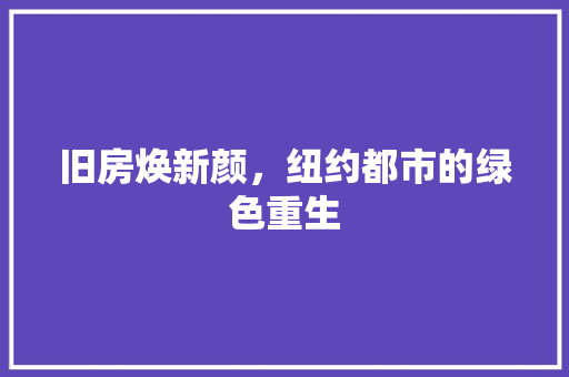 旧房焕新颜，纽约都市的绿色重生