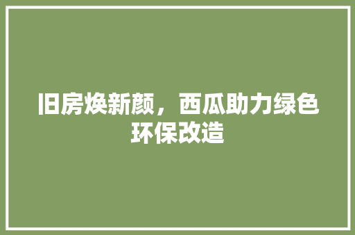 旧房焕新颜，西瓜助力绿色环保改造