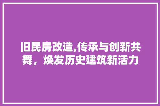 旧民房改造,传承与创新共舞，焕发历史建筑新活力