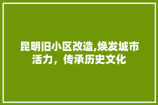 昆明旧小区改造,焕发城市活力，传承历史文化