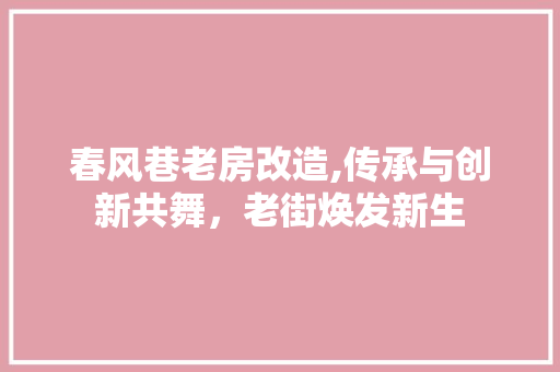 春风巷老房改造,传承与创新共舞，老街焕发新生