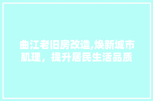曲江老旧房改造,焕新城市肌理，提升居民生活品质