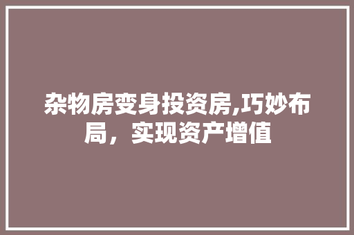 杂物房变身投资房,巧妙布局，实现资产增值