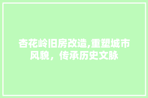 杏花岭旧房改造,重塑城市风貌，传承历史文脉