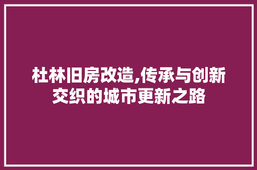 杜林旧房改造,传承与创新交织的城市更新之路