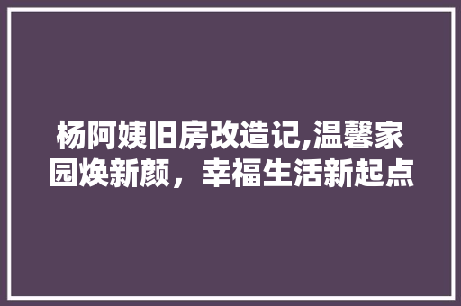 杨阿姨旧房改造记,温馨家园焕新颜，幸福生活新起点
