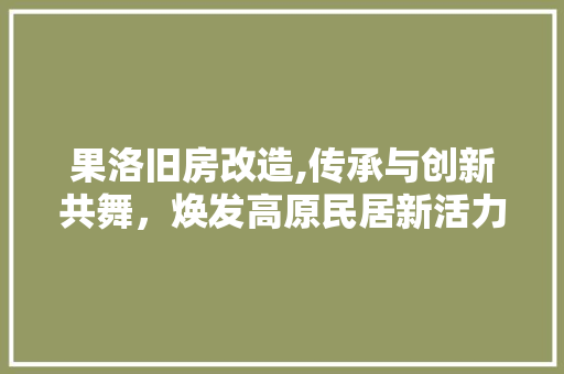 果洛旧房改造,传承与创新共舞，焕发高原民居新活力