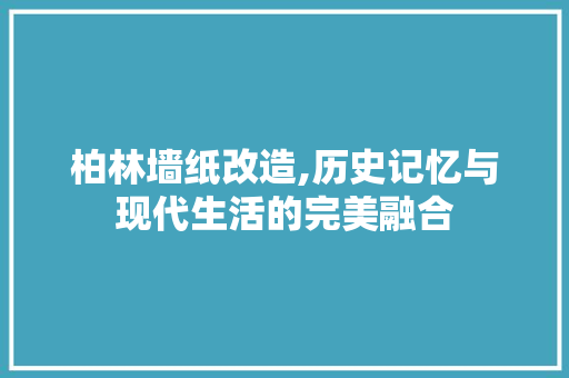 柏林墙纸改造,历史记忆与现代生活的完美融合