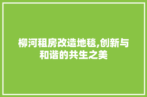 柳河租房改造地毯,创新与和谐的共生之美
