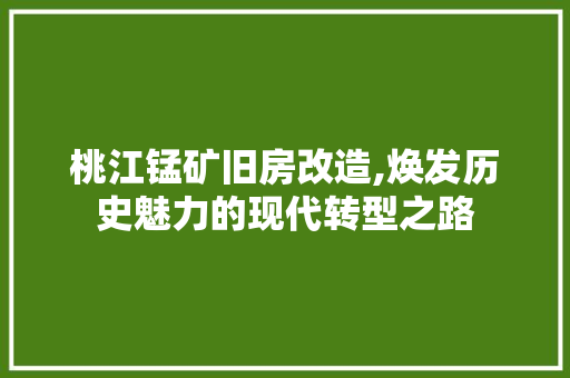 桃江锰矿旧房改造,焕发历史魅力的现代转型之路