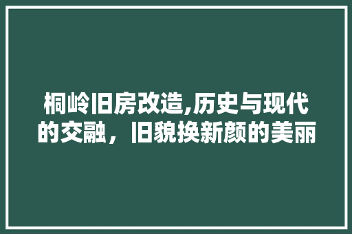 桐岭旧房改造,历史与现代的交融，旧貌换新颜的美丽蜕变