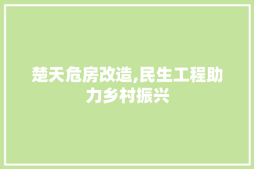 楚天危房改造,民生工程助力乡村振兴