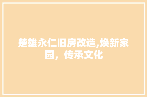 楚雄永仁旧房改造,焕新家园，传承文化