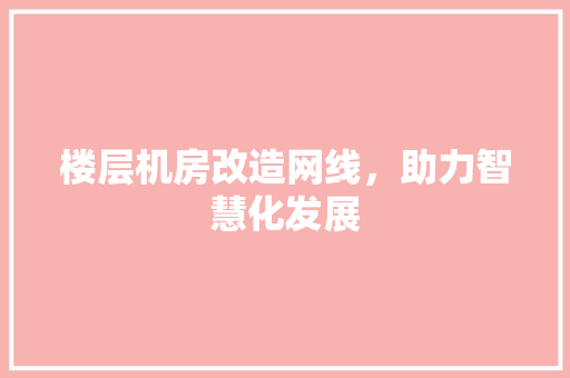 楼层机房改造网线，助力智慧化发展