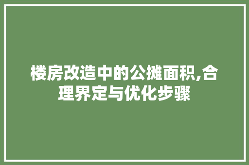 楼房改造中的公摊面积,合理界定与优化步骤