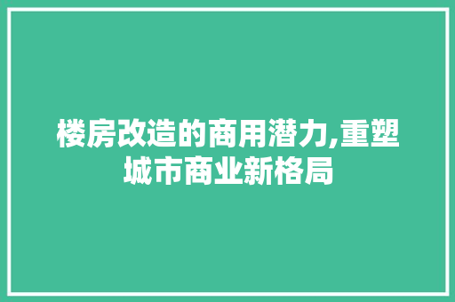 楼房改造的商用潜力,重塑城市商业新格局