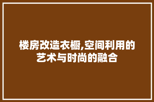 楼房改造衣橱,空间利用的艺术与时尚的融合