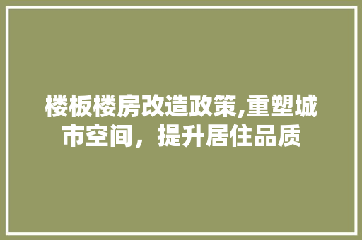 楼板楼房改造政策,重塑城市空间，提升居住品质