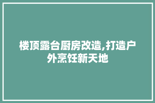 楼顶露台厨房改造,打造户外烹饪新天地